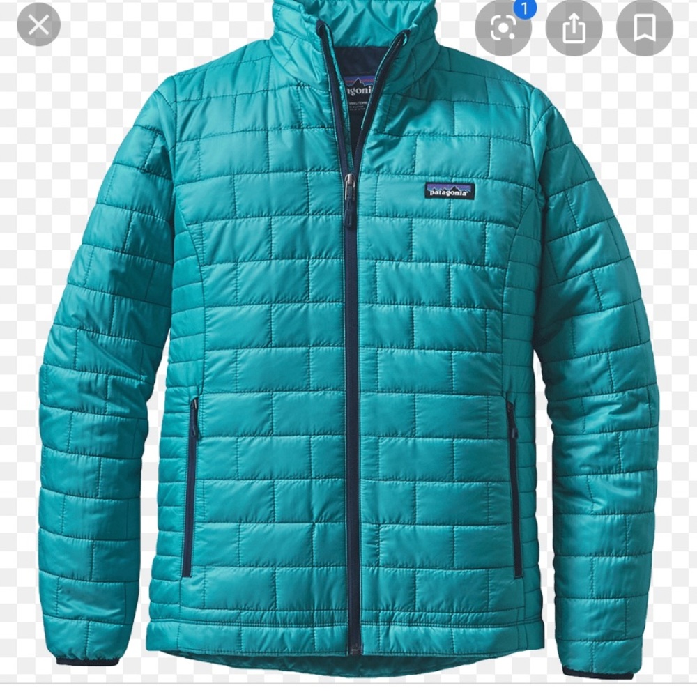 Patagonia Nano Puff Jacket in Teal